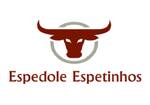 Logotipo Espedole Espetinhos