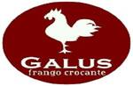 Logotipo Galus Frango Crocante