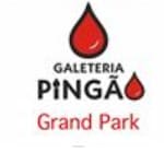 Logotipo Galeteria Pingao Gran Park