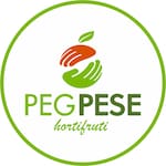 Logotipo Peg Pese Morumbi Hortifruti Express