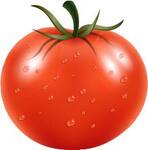 Logotipo Delivery Pomodoro