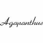Logotipo Agapanthus