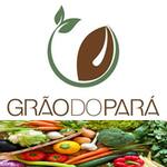 Logotipo Grao do Para-santarem
