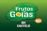 Logotipo Frutos de Goias Castelo
