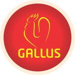 Logotipo Gallus