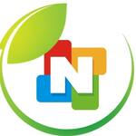 Logotipo Noc's Gourmet