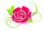 Logotipo Cantinho Rosa de Saron