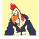 Logotipo Pollo Looko Luz