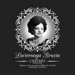 Logotipo Luciérnaga Bruxia Cafeteria