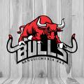 Logotipo Bulls Sanduicheria