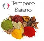Logotipo Tempero Baiano