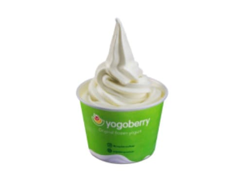 Frozen Yogurt Natural G