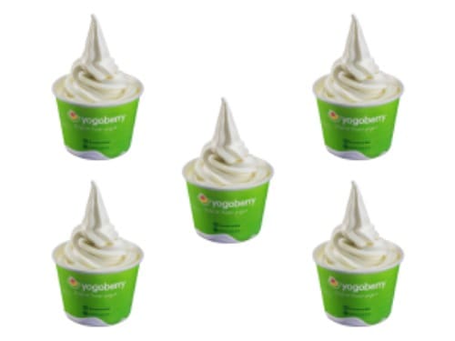 Promoção Família: Compre 4 Frozens Yogurt natural (G) e leve o quinto grátis