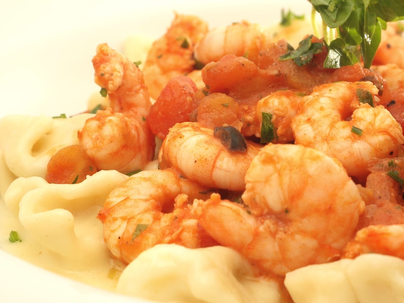 Camarão do Frade - Especialidade do Plim (Plim's Specility)